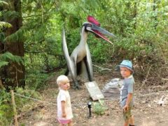 A fényképet készítette: László Gáspár