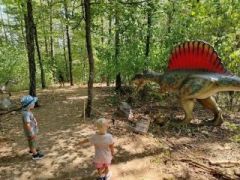 A fényképet készítette: László Gáspár