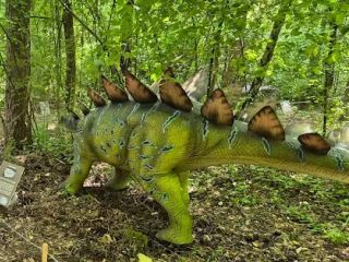 Stegosaurus